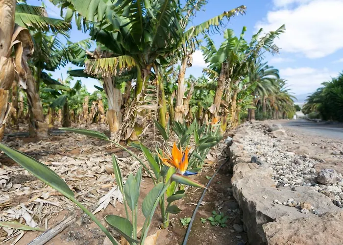 Holiday home Casa Maria - Caserio De Guaza