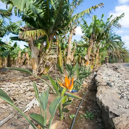 Tatil Evi Casa Maria - Caserio De Guaza