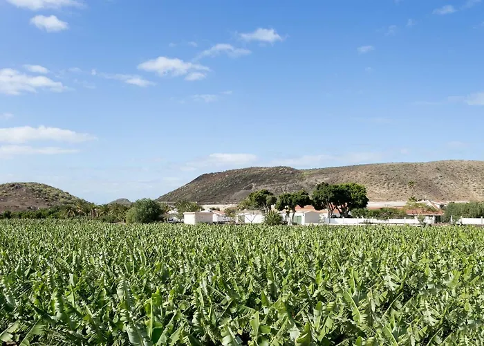 Casa María - Caserío De Guaza * Palm-mar