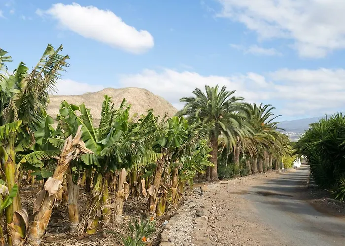 Casa María - Caserío De Guaza *
