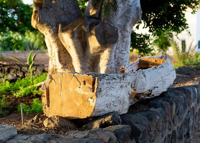 Prázdninový dům Casa Maria - Caserio De Guaza *