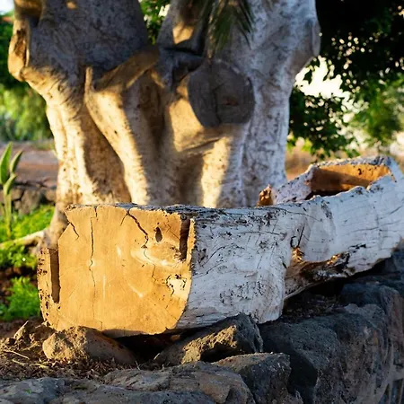 Prázdninový dům Casa Maria - Caserio De Guaza *