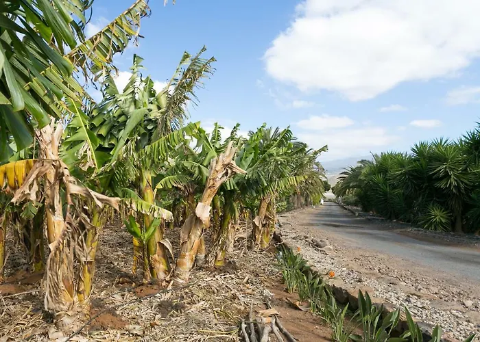 Casa Maria - Caserio De Guaza Hébergement de vacances *