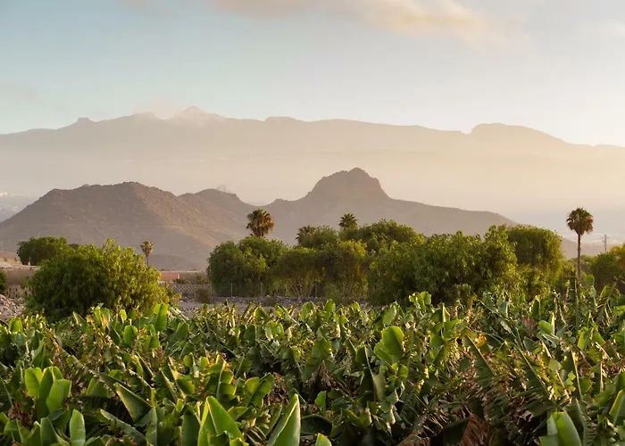 Casa Maria - Caserio De Guaza بالم مار